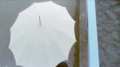 三级片-贡品夫人