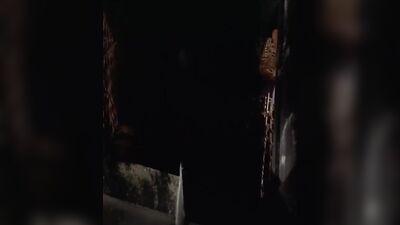 三级片-贡品夫人