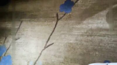 全国大学生外围良家 酒店约嫖高素质颜值漂亮小姐姐 按摩口交啪啪一条龙